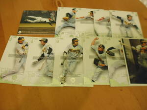 2008 BBM Touch The game regular 11 sheets Hanshin Tigers 