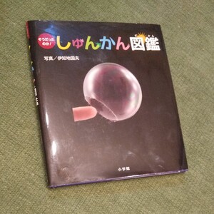 そうだったのか!しゅんかん図鑑 小学館 いち