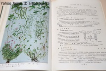 原色日本野外植物図譜・増補改訂・7冊/目標は日本列島産の高山帯の植物を除く一般野外植物に帰化植物も含めた約3000種で総計440プレート_画像9