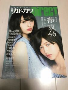 別冊カドカワＤＩＲＥＣＴ０５総力特集欅坂４６言葉よりも雄弁な写真（カドカワムック）