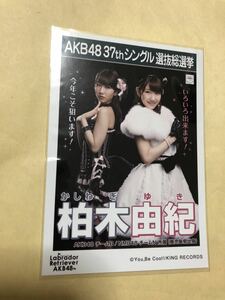 柏木由紀 AKB48 ラブラドールレトリバー 劇場盤 生写真 c1