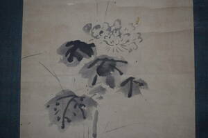 Art hand Auction [복제] 카노탄유/국화/꽃/족자☆보물선☆W-961 J, 그림, 일본화, 꽃과 새, 야생 동물