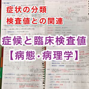 医療系学科定期試験、国家試験対策シリーズ【病理学】まとめノート