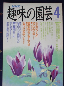 NHK 趣味の園芸 テキスト 平成1年5月 1989年 クローズアップツバキ ヒンビジュームとファレノプシス シャコバサボテン ツツジ 中古 美品