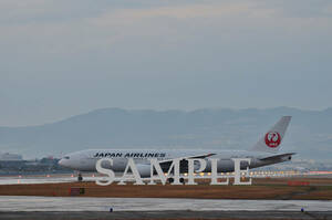 D[ aircraft photograph ]L version 3 sheets Japan Air Lines B777-200 Itami airport 