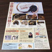 【マンモス展 ～その『生命』の過去と未来～】名古屋市科学館 2020 展覧会チラシ_画像2