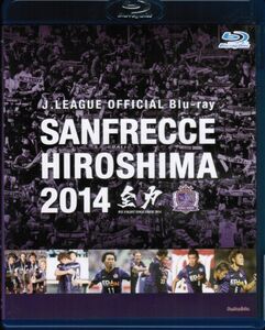  солнечный fre che Hiroshima 2014 все сила J.LEAGUE OFFICIAL Chiba мир . вода книга@.. соль .. Aoyama .. лес гарантия один 