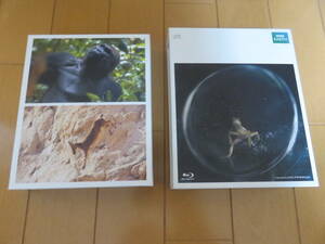  super out of print! all. living thing is hero .! BBC EARTH Blue-ray documentary movie [LIFE] 5 sheets set booklet attaching beautiful goods 