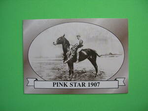 Horse Star 1991 Kentucky Derby #33 Pink Star 