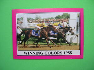 Horse Star 1991 Kentucky Derby #114 Winning Colors