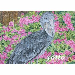 Art hand Auction 색연필 그림 Shoebill A4 프레임 포함 ◇ ◆손으로 그린 ◇원화 ◆새 ◆Yotto ◇, 삽화, 그림, 연필 그림, 목탄화