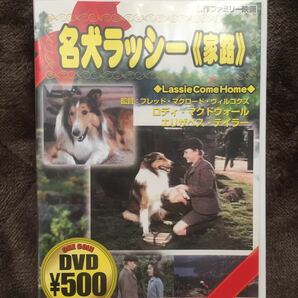 名犬ラッシー DVD 