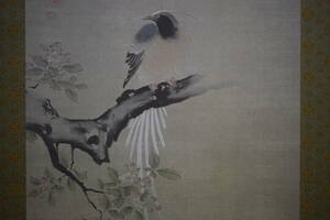 Art hand Auction [استنساخ] // Kano Tan'yu / طائر طويل الذيل في البحر / الحرف اليدوية / صندوق خشب بولونيا متضمن / لفافة معلقة Hotei-ya HH-933, تلوين, اللوحة اليابانية, الزهور والطيور, الحياة البرية