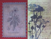 □■□43011-HS□■□[FLAKE-STICKER] ヴィンテージSTAMP_RETRO FLOWER PLANT CODE_画像1