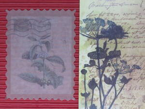 □■□43014-HS□■□[FLAKE-STICKER] ヴィンテージSTAMP_RETRO FLOWER PLANT CODE