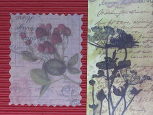 □■□43020-HS□■□[FLAKE-STICKER] ヴィンテージSTAMP_RETRO FLOWER PLANT CODE