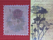 □■□43025-HS□■□[FLAKE-STICKER] ヴィンテージSTAMP_RETRO FLOWER PLANT CODE_画像1