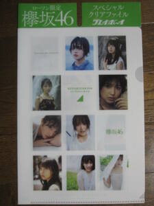  both sides clear file flat hand . pear . length ... now Izumi ...... Watanabe pear ..... small . beautiful wave zelkova slope 46 * new goods unused * control number 1