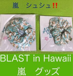 ★嵐 2014 ARASHI BLAST in Hawaii のシュシュ★ニ個セット