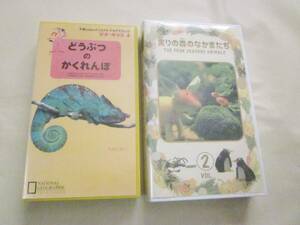  National geo graphic ..... ..... real .. forest. .. moreover, . child video 2 pcs set VHS anime Kids 5044