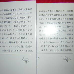 A9★送210円/3冊まで 除菌済2【文庫コミック】RIDEX ★2巻★東本昌平 バイク CB1100R ★複数落札いただきいますと送料がお得ですの画像2