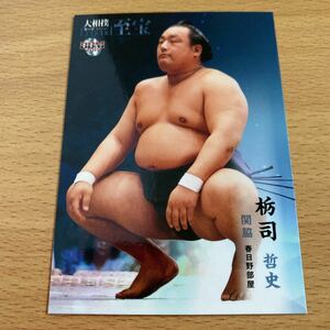 即決●BBM2015 大相撲カード ［レジェンド］至宝　#32 栃司 哲史　関脇　春日野部屋