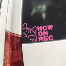 NOW ON REC/ステッカー（ライトピンク/ネコ13.5cm）ドライブレコーダー搭載車/録画中//_画像1