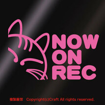 NOW ON REC/ステッカー（ライトピンク/ネコ13.5cm）ドライブレコーダー搭載車/録画中//_画像2