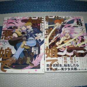 転生したら悪い国の娘でした 全2巻