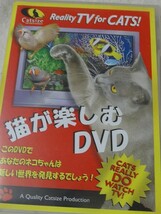 猫が楽しむDVD_画像1