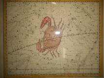 即決アンティーク天球図、天文、銅版画、星座早見盤、星座図絵1822年『ジェミーソン星図＝蟹座他』Star map, Planisphere,Celestial atlas_画像6