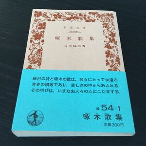 b2 啄木歌集 岩波文庫 岩波書店 石川啄木 小説 日本小説 日本作家 本 31-054-1