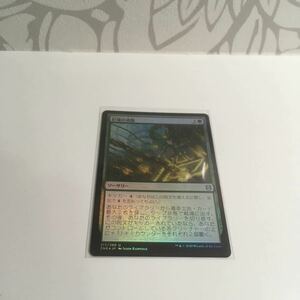 [ＭＴＧ][FOIL][ゼンディガーの夜明け] 巨森の波動 日ｘ1