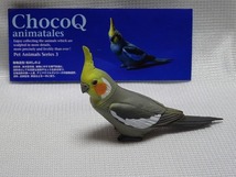 海洋堂 「オカメインコ」ノーマル フィギア チョコQ Pet Animals Series 3 タカラ_画像1