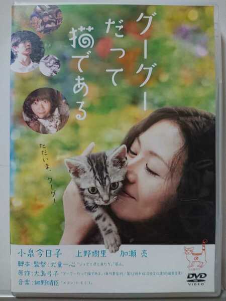 グーグーだって猫である DVD/小泉今日子 上野樹里 加瀬亮 森三中 林直次郎