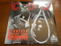 【12】COD(0-25024米国SELECT STREET1993年SEALED未開封STRAIGHT FROM THE UNDERGROUND)_画像1