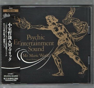 ∇ 小室哲哉&Mr.マリック 90年 帯付 CD/サイキックエンターテイメントサウンド マリックワールド/Tetsuya Komuro&Mr.Maric TMネットワーク