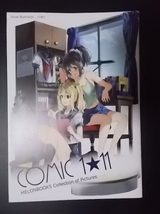 同人誌 COMIC1☆11 MELONBOOKS Collection of Pictures メロンブックス 条件付き送料無料
