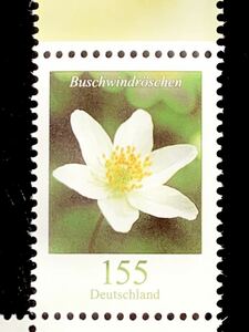 ドイツ切手きれいな花切手★ヤブイチゲ 1.55ユーロ 2019年 未使用極美品