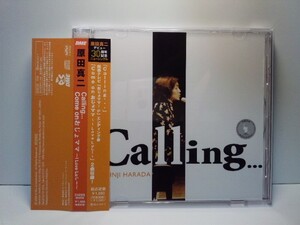 [2008年発売/デビュー30周年記念シングル] 原田真二 / Calling.../ Come on おじょママ I LOVE Luしー●　shinji harada