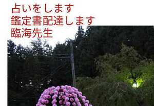 宇宙龍神祈祷金運お守りつき　霊視占い　前世も見ます悩み受付　鑑定書配達寺から霊視陰陽師りんかい先生大人気