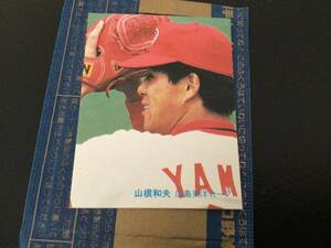 未開封開封品　カルビー81年　山根（広島）No.16　プロ野球カード　美品