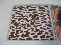 ◆SHAKA LABBITS◇CD◆EXPLORING OF THE SPACE◇FLAPPER◆アルバム_画像4