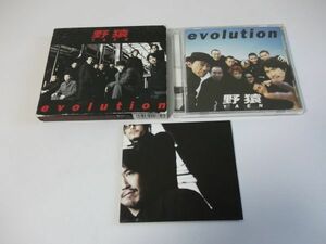 ◆野猿◇CD◆evolution◇悲しみは永遠じゃない◆アルバム