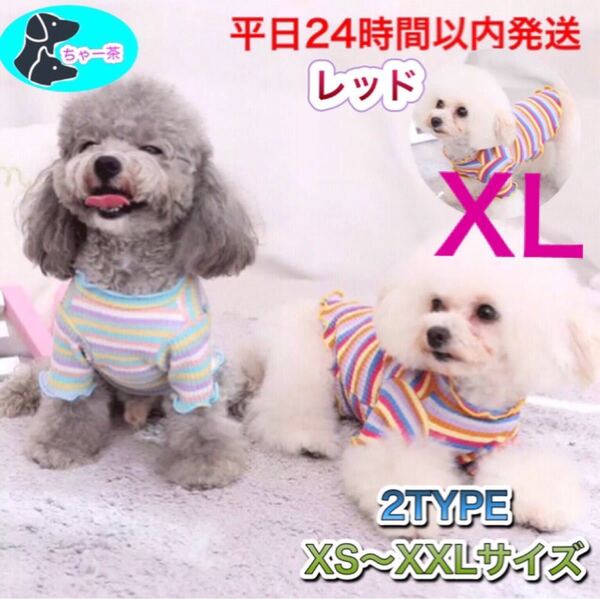 着回しできる！のびのびボーダー　レッド　XLサイズ　犬服　猫服　ペットウェア　冬用　かわいい　トップス　小型犬　犬