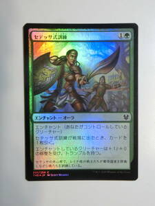 【MTG】★Foil　セテッサ式訓練　日本語1枚　テーロス還魂記　THB　コモン