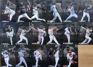  Calbee Professional Baseball chip s2006 TOP PLAYER card 17 pieces set Dub . none 