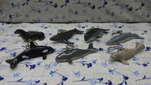 OZ101560☆シャチ、クジラ、etc☆海の生き物☆キーホルダー☆７種セット_画像3