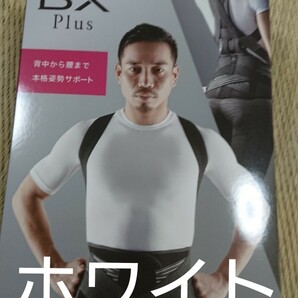 style bx plus
