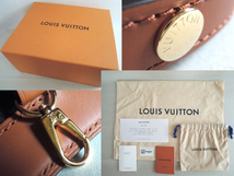 LOUIS VUITTON ルイヴィトン ホーボー・ドーフィーヌ PM 2wayバッグ モノグラム M45194 /本物_画像8